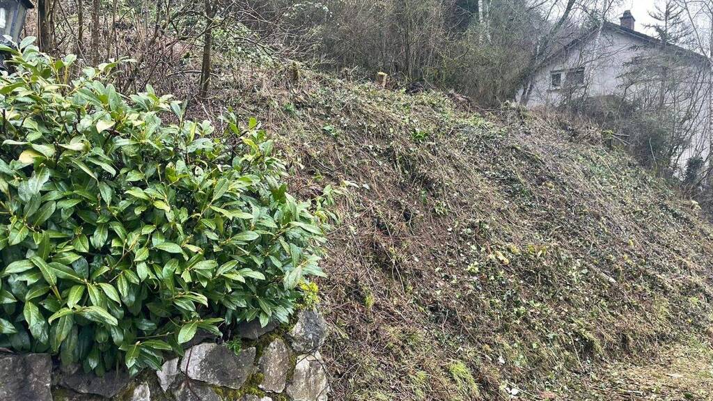 Grundstück zum Kauf 18.500 € 801 m² Grundstück Schönecken 54614