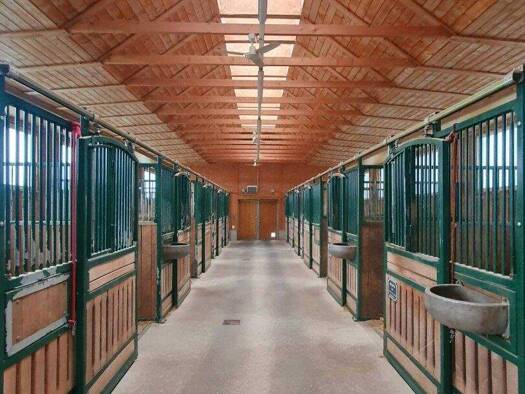 Reiterhof zum Kauf 25.623 m² Grundstück Aurolzmünster 4971