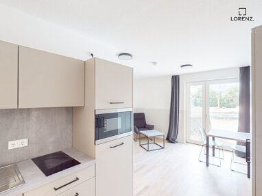 Wohnung zur Miete 450 € 1 Zimmer 24,1 m² 1. Geschoss frei ab 01.11.2024 Hasenbuck Nürnberg 90461