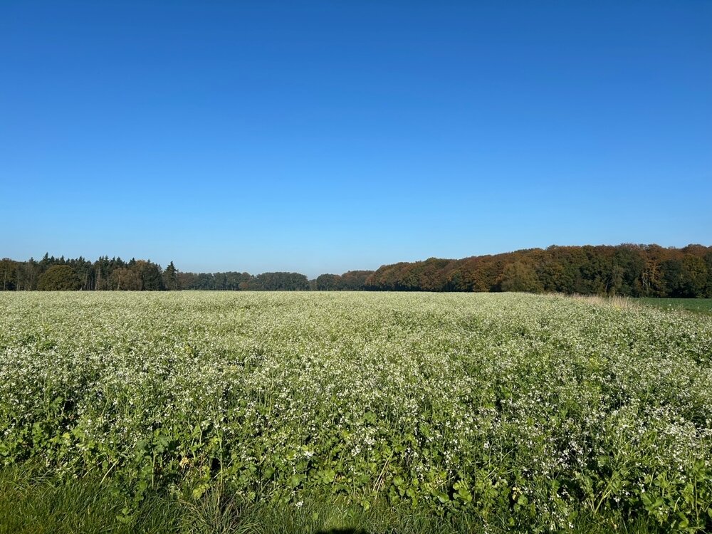 Land-/Forstwirtschaft zum Kauf 37.583 m²<br/>Grundstück Bassum Bassum / Neubruchhausen 27211