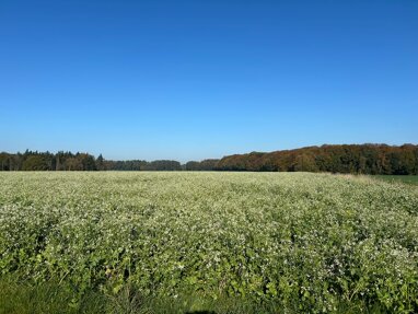 Land-/Forstwirtschaft zum Kauf 37.583 m² Grundstück Bassum Bassum / Neubruchhausen 27211