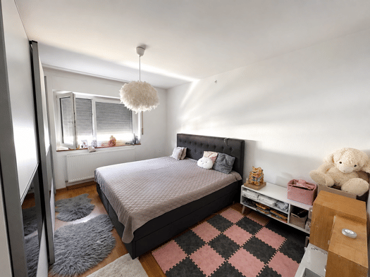 Wohnung zum Kauf 199.000 € 2 Zimmer 64 m² 3. Geschoss Singen Singen (Hohentwiel) 78224