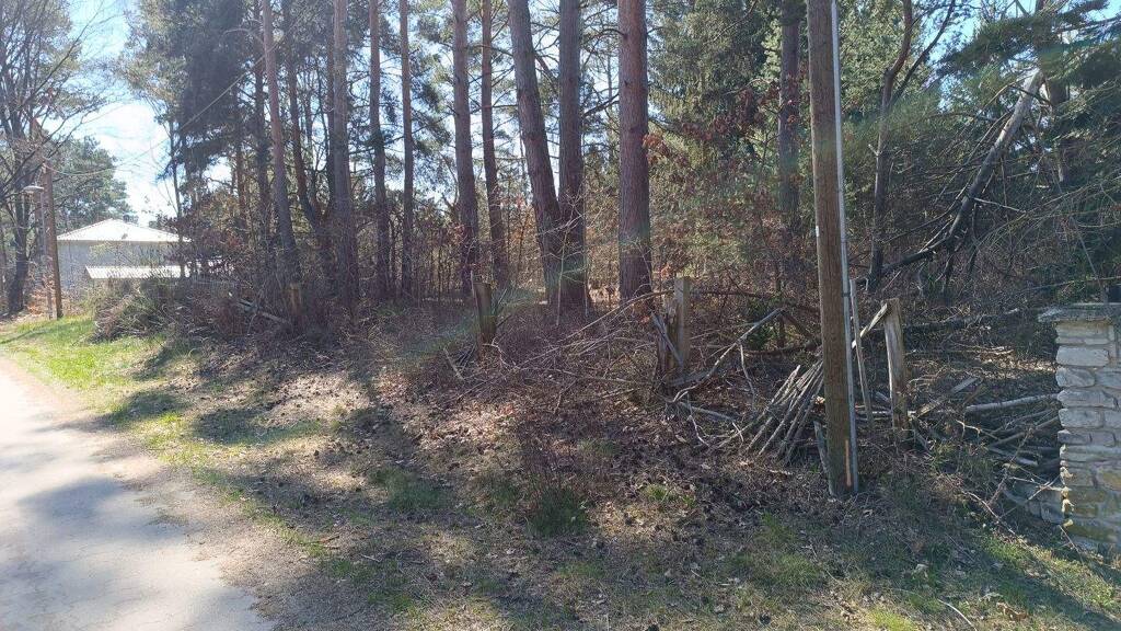 Grundstück zum Kauf 210.000 € 1.651 m² Grundstück frei ab sofort Kiefernring 20 Töpchin Mittenwalde 15749