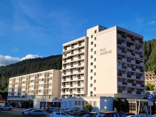 Wohnung zum Kauf provisionsfrei 62.000 € 30 m² 1. Geschoss Todtmooserstr.2 St Blasien St. Blasien 79837