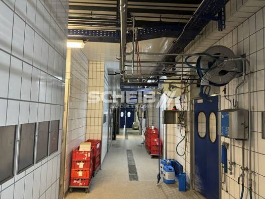 Produktionshalle zur Miete 3,50 € 2.000 m² Lagerfläche Gründelhardt Frankenhardt 74586