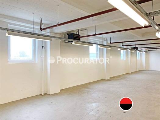 Lagerhalle zur Miete 630 m² Lagerfläche Hammerbrook Hamburg 20537