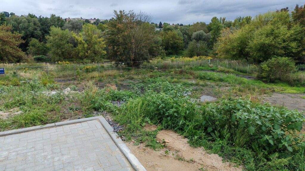 Grundstück zur Miete 169 € 1.337 m² Grundstück Jacob-A.-Morand-Str. 14 Roschütz Gera 07552