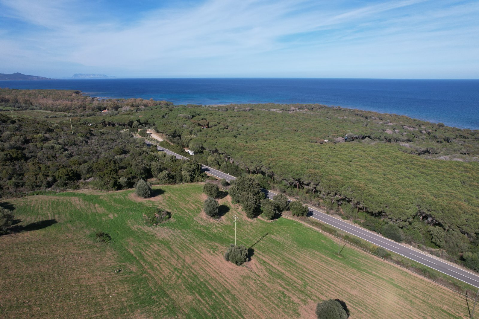 Grundstück zum Kauf provisionsfrei 310.000 € 64.000 m²<br/>Grundstück Capo Comino 08020