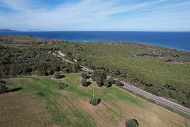 Grundstück zum Kauf provisionsfrei 310.000 € 64.000 m² Grundstück Capo Comino 08020