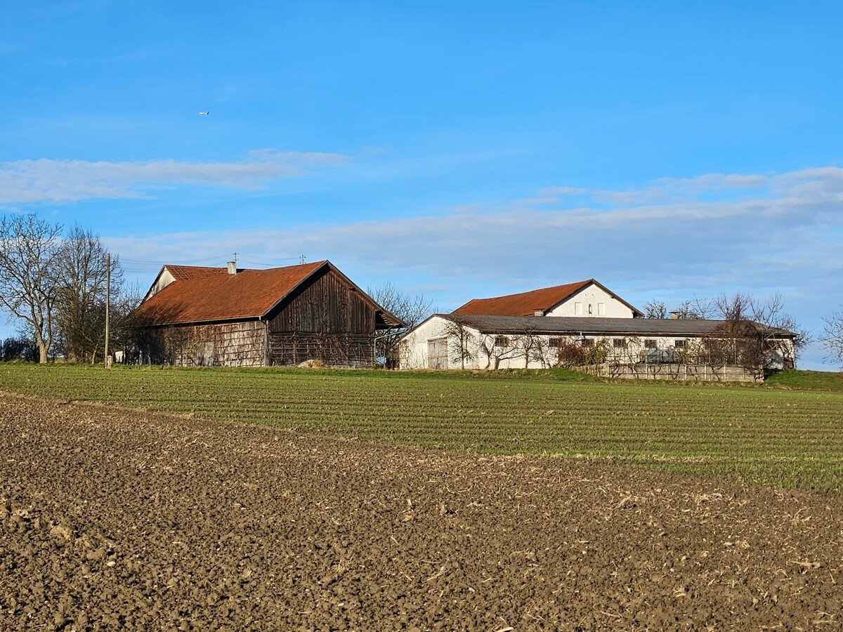 Bauernhaus zum Kauf 1.450.000 € 7 Zimmer 244 m²<br/>Wohnfläche 14.523 m²<br/>Grundstück Geiersberg Buchbach 84428