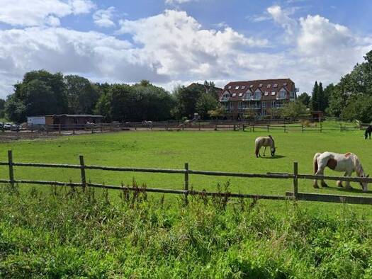 Land-/Forstwirtschaft zur Miete provisionsfrei 990 € 7.000 m² Grundstück Timmendorfer Strand Timmendorfer Strand 23669