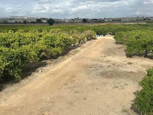 Wohn- und Gewerbegrundstück zum Kauf 318.000 € Vereda Del Rincon, 1 Formentera del Segura 03179