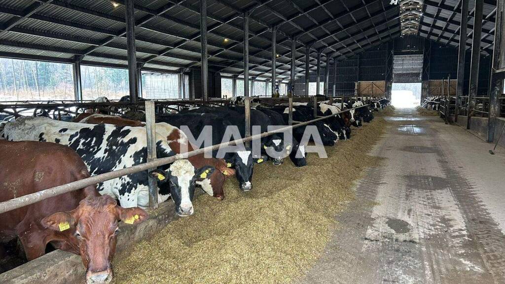 Grundstück zum Kauf 2.500.000 € 3.650.000 m² Grundstück Sigulda 2152