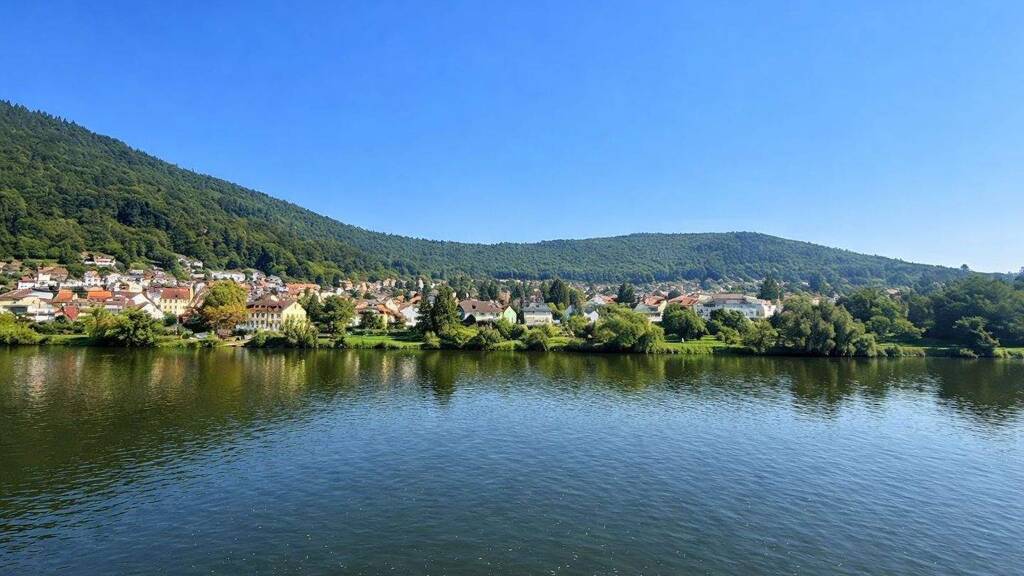 Mehrfamilienhaus zum Kauf als Kapitalanlage geeignet 845 m² 588 m² Grundstück Neckargemünd 69151