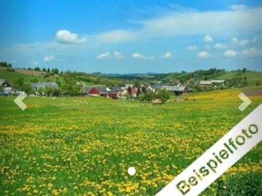 Grundstück zum Kauf 5.000 € 4.737 m² Grundstück Treffurt Treffurt 99830