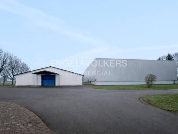 Halle/Industriefläche zum Kauf 1.900.000 € 4.052 m² Lagerfläche Thürungen Kelbra (Kyffhäuser) 06537