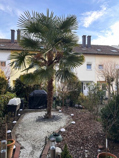 Wohnung zum Kauf 185.000 € 2 Zimmer 65 m² EG frei ab sofort Gartenstadt Ludwigshafen am Rhein 67067