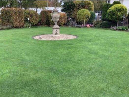 Grundstück zum Kauf 80.000 € 416 m² Grundstück Horn-Millinghausen Erwitte 59597