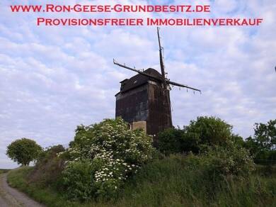 Einfamilienhaus zum Kauf provisionsfrei 29.900 € 280 m² 1.580 m² Grundstück frei ab sofort Gatterstädt Querfurt 06268