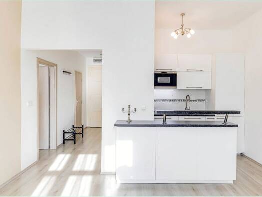Wohnung zur Miete 700 € 2 Zimmer 50 m² Geschoss 1/3 Paul-Neumann-Straße 2 Babelsberg Süd Potsdam 14482