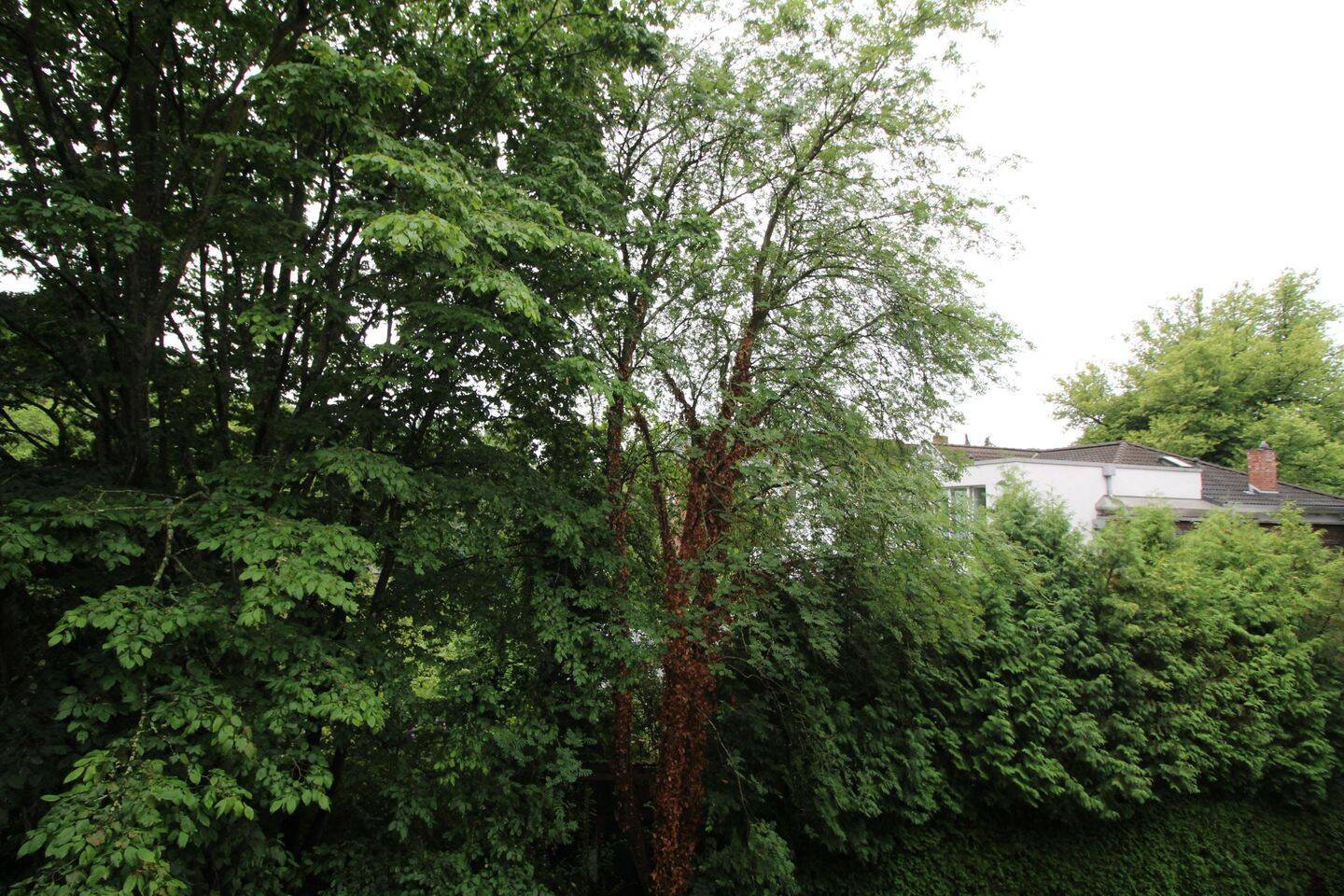 Wohnung zur Miete - Ansicht 5