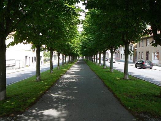 Wohnung zum Kauf als Kapitalanlage geeignet 89.900 € 3 Zimmer 68 m² Allee 53 Ballenstedt 06493