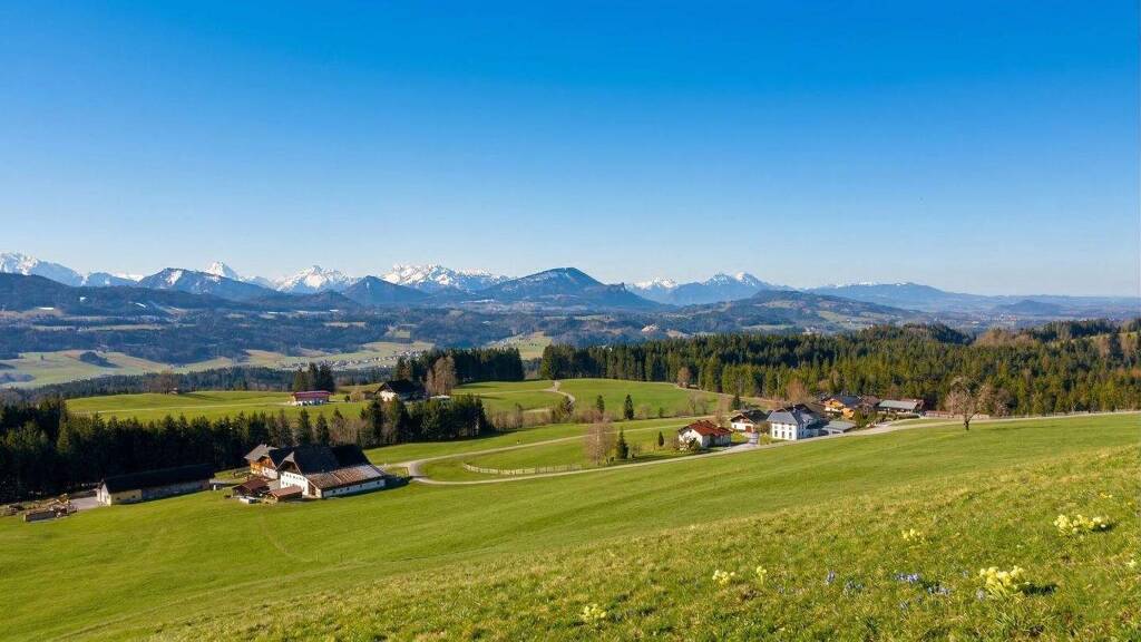 Grundstück zum Kauf 1.950.000 € 1.569 m² Grundstück Thalgau 5303