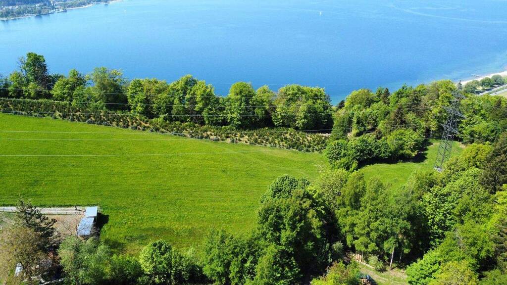 Grundstück zum Kauf 695.000 € 750 m² Grundstück Lochau 6911