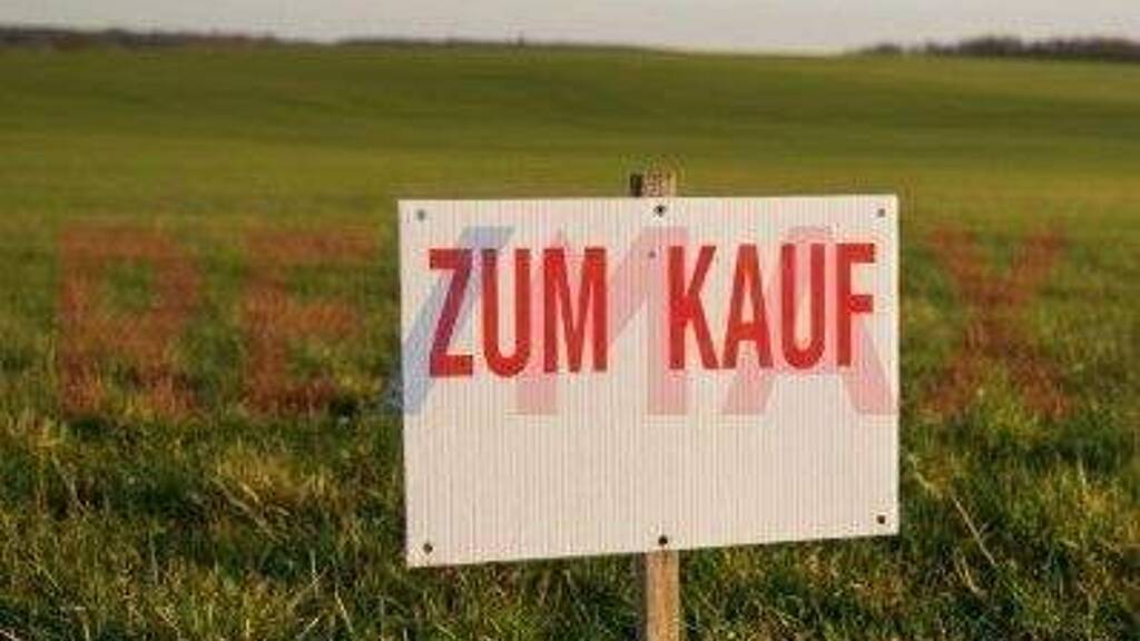 Grundstück zum Kauf 260.000 € 644 m² Grundstück Monsheim 67590