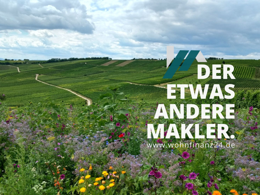 Grundstück zum Kauf 89.000 € 248 m² Grundstück Selzen 55278