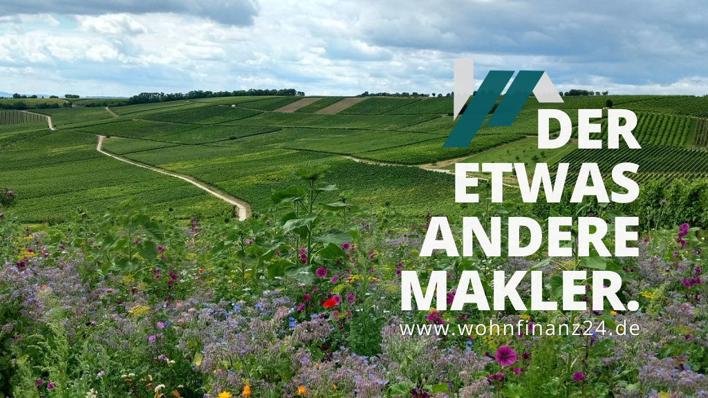 Grundstück zum Kauf 89.000 € 248 m² Grundstück Selzen 55278