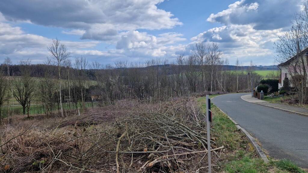 Grundstück zum Kauf 10.000 m² Grundstück Mechelgrün Neuensalz OT Mechelgrün 08541