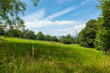 Grundstück zum Kauf 750.000 € 750 m² Grundstück Lochau 6911