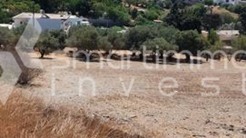 Land-/Forstwirtschaft zum Kauf 304.000 € Kokkali, Leros 854 00