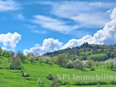 Einfamilienhaus zum Kauf 1.250.000 € 7 Zimmer 291,5 m² 689 m² Grundstück Singen 78224
