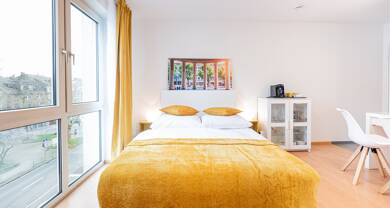 Wohnung zur Miete Wohnen auf Zeit 600 € 1 Zimmer 30 m² frei ab sofort Aachen Aachen 52072