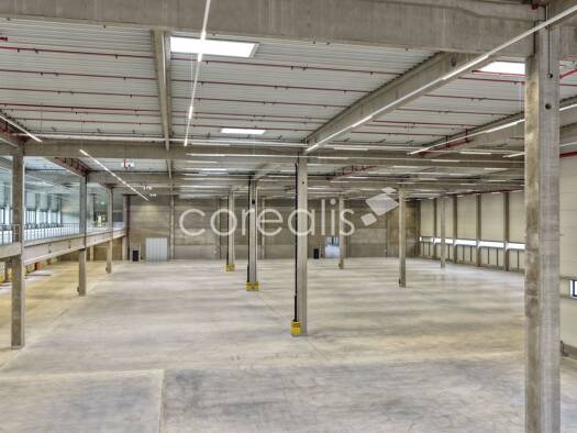 Lagerhalle zur Miete provisionsfrei 20.000 m² Lagerfläche teilbar ab 7.000 m² Linn Linn 47809