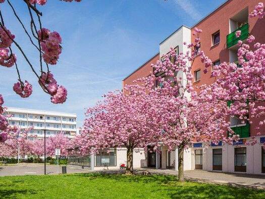 Bürofläche zur Miete provisionsfrei 958 € 4,5 Zimmer 143 m² Bürofläche Hellersdorfer Promenade 32 Hellersdorf Marzahn-Hellersdorf 12627