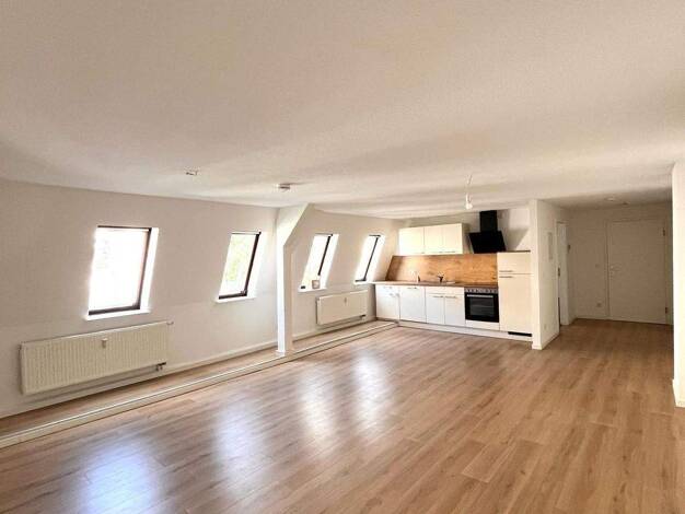 Wohnung zur Miete 629 € 1 Zimmer 49 m² 2. Geschoss frei ab sofort Breslauer Straße 12 Stötteritz Südost 04299