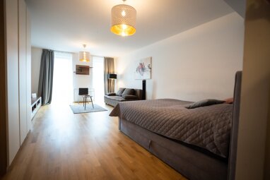 Wohnung zur Miete Wohnen auf Zeit 1.830,60 € 1 Zimmer 50 m² frei ab 31.12.2024 Wien 1080