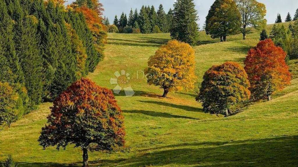 Land-/Forstwirtschaft zum Kauf 18.000 € Dubrava - Klaka - Mirosevac