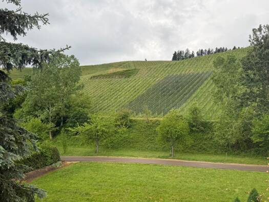 Einfamilienhaus zum Kauf 583.833 € 4 Zimmer 154 m² 327 m² Grundstück Durbach Durbach 77770