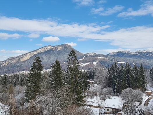 Wohnung zum Kauf 170.000 € 2 Zimmer 39 m² 1. Geschoss Bad Goisern am Hallstättersee 4822