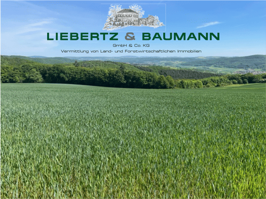 Forstwirtschaft zum Kauf als Kapitalanlage geeignet 2.800.000 € 1.330.000 m² Grundstück Weiler bei Monzingen 55627