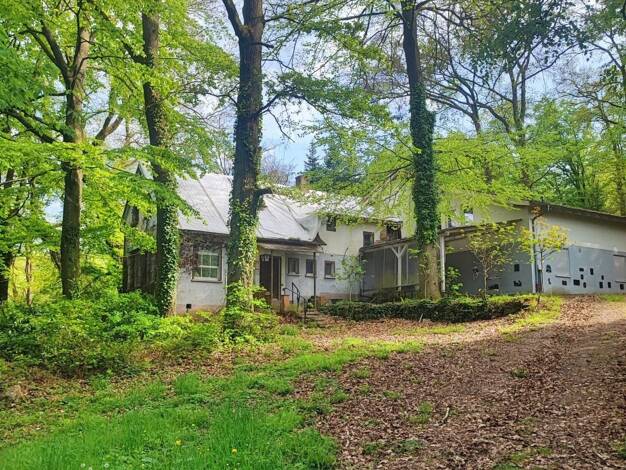 Einfamilienhaus zum Kauf 499.000 € 13 Zimmer 308 m² 11.833 m² Grundstück Reichelsheim 64385