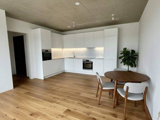 Wohnung zum Kauf - Erstbezug 175.821 € 3 Zimmer 64,8 m² 2. Geschoss Neustifter Straße 6 Kirchberg am Wagram 3470