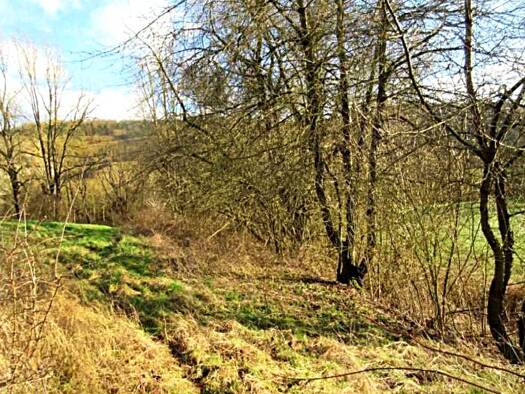 Grundstück zum Kauf 1.000 € 6.600 m² Grundstück Eubach Morschen 34326