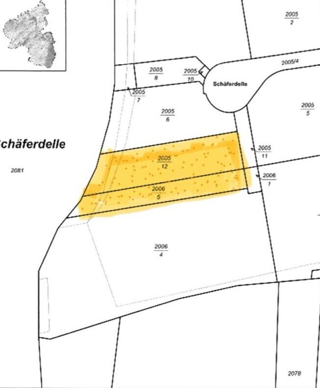 Gewerbegrundstück zum Kauf 324.000 € 2.700 m²<br/>Grundstück Winnweiler Winnweiler 67722