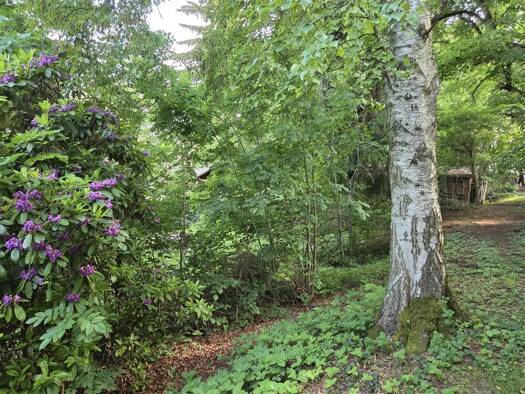Grundstück zum Kauf 174.000 € 1.744 m² Grundstück Marienberg Marienberg 09496