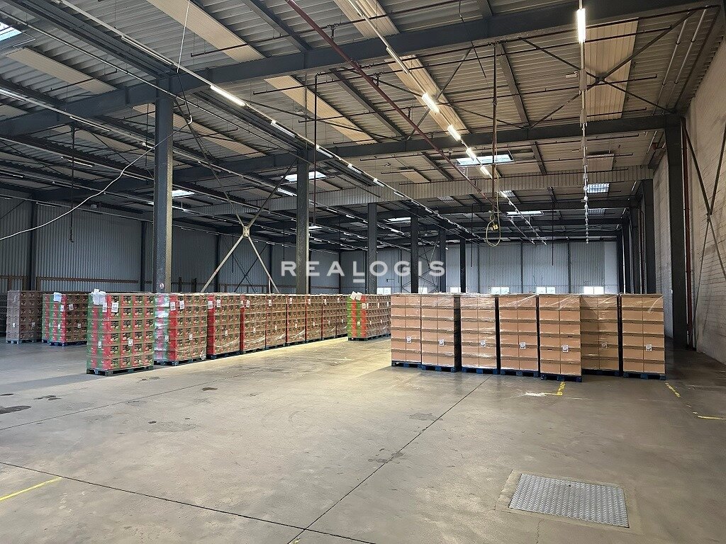 Halle/Industriefläche zum Kauf provisionsfrei 7.927 m²<br/>Lagerfläche Süd Hameln 31785